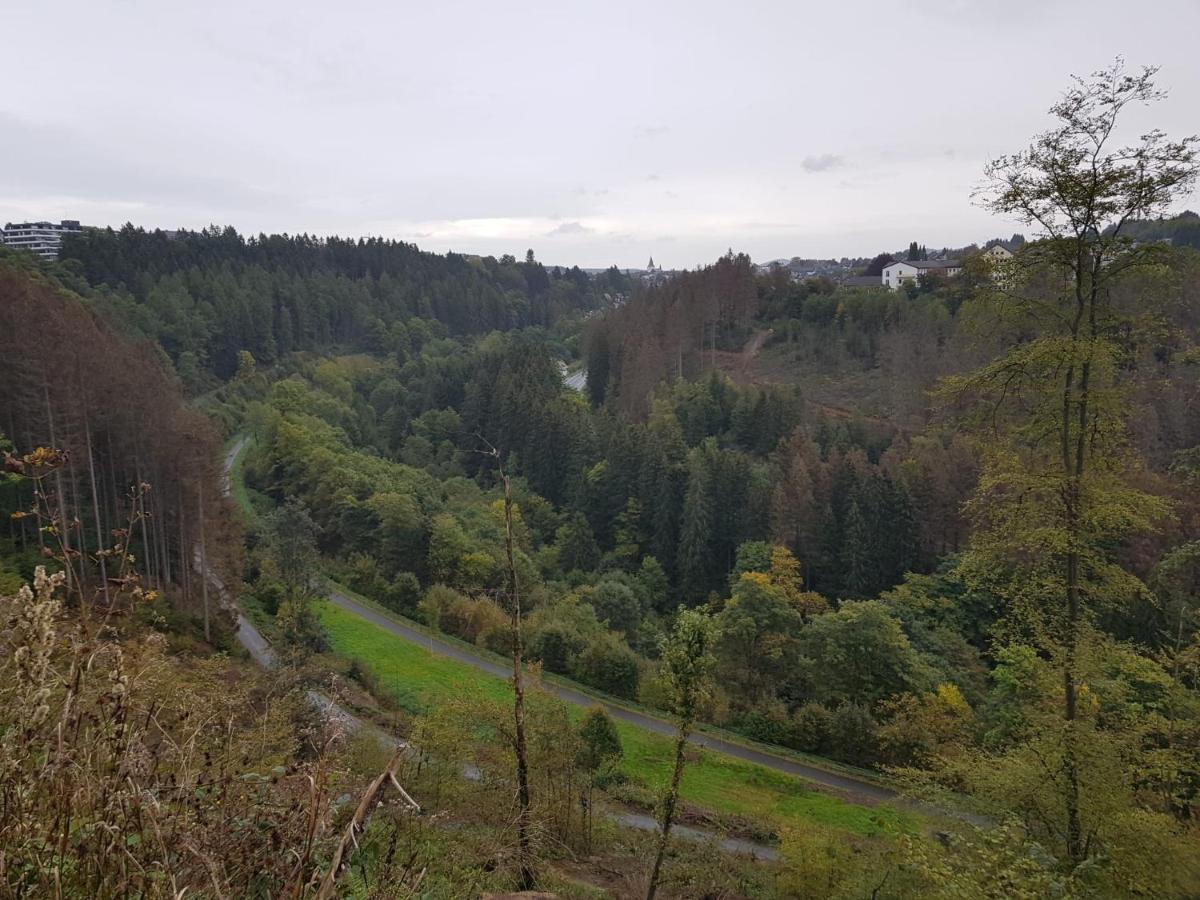 Altastenberger Lodge Winterberg Esterno foto